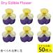  meal for flower dry flower ( nationwide free shipping ) meal .... pressed flower dry Eddie bru flower viola ( white purple ) 50 sheets entering limited company Tom mail service (omtmb6269)