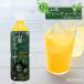 �V�[�N���[�T�[ ���t �R���V�[�N���[�T�[ 500ml�~12�{�Z�b�g ���ꌧ�Y�ʏ`100�� �V�[�N���[�T�[�W���[�X ���΂�V�[�N���[�T�[ �������� �����t�����g