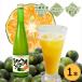 ���ꌧ�Y �؂�V�[�N���[�T�[100 500ml�i�V�[�N���[�T�[�j �V�[�N���[�T�[ �W���[�X �m�r���`��