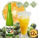 ���ꌧ�Y �؂�V�[�N���[�T�[100 500ml�~12�{ ���������i�V�[�N���[�T�[�j �V�[�N���[�T�[ �W���[�X �m�r���`��