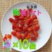 �~���g�}�g �h���C�t���[�c �h���C�g�}�g �ʂ��܁[�� �I�B�~ �g�p 110g 10�Z�b�g