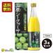 �V�[�N���[�T�[ ���t �W���[�X �_��s�g�p �R���V�[�N���[�T�[ �����x�� 720ml�~3�{ ���Y�� ����Y �V�[�N���[�T�[ �炲�� �ʏ` �X�g���[�g �h�����N �m�r���`��