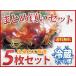  наклон Hiroshima окономияки ( кальмар небо входить ) 300g 5 шт. комплект ( простой упаковка )[ включая доставку ](021-0039)