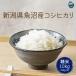 . рис рыба болото производство Niigata префектура Koshihikari 10kg(5kg×2). мир 7 год производство рис 
