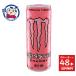 �A�T�q �����X�^�[ �p�C�v���C���p���` 355ml�~24�{���~2�P�[�X