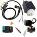 ¹͢ʡ 5 Pin CDI Regulator Rectifier Relay Fuel Filter Ignition Coil Replacement for Kazuma Meerkat 50cc Falcon 90cc 110cc Taotao Roketa
