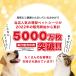 �y�b�g�V�[�c ���^  ���M�����[ 1200�� 100��x 12�� ���C�h 600�� 50��x 12�� �X�[�p�[���C�h 300�� 25��x12�� ��e�� �y�b�g�V�[�g �Ɩ��p �V�[�c �g�C���V�[�g �֘A�摜2