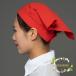  triangle width plain check pattern touch fasteners attaching for adult man and woman use stylish simple sanitation cap triangle head width cooking .. business use Cafe cooking real . cleaning beauty .