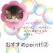 �G���U�x�X�J���[ �� �L �\�t�g �l�R �X�g���X�y�� ���炩�� �y�� ���r�ߖh�~ ���킢�� 2���Z�b�g �G���J�� �֘A�摜2