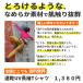 ����T�V���c �����Y ���f�B�[�X T�V���c ���� ���n �Ȃ߂炩 ���� �C���i�[ ���� �z�� ����t �h���C �J�b�g�\�[ �� �� �� �� �� ���F uv �H �֘A�摜1