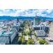  магнит туристический сувенир ( Sapporo большой через парк * Hokkaido )