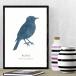  дикая птица постер искусство внутренняя панель campus иллюстрации абстрактная картина 