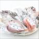 おもてなしギフト　干物詰合せ　富山県魚津の朝野商店の魚市場でセリ、加工して届ける旬の紅白干物セット（松）
ITEMPRICE