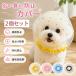 �� �}�Y�� ���b�V�� ���� 2�Z�b�g �E���H���h�~ ���ݕȖh�~ �r�ߖh�~ �����p �ʋC�� �y�� �����ȒP �h�� �h�o �U�� ���^���p �y�b�g�p�i ���킢�� �X�^�[��