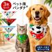 ���p �o���_�i �T�b�J�[ �����O�b�Y ���j�t�H�[���� �y�b�g �X�^�C �悾��h�~ �ʋC�� ���^�� ���^�� ��^�� �ʐ^�B�e ������� ���킢�� �􂦂� ���E�ȒP