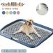���p�g�C���g���[ ��^���p ���C�h�T�C�Y 65�~50cm ���b�V���t�� ����~�ߕt�� �����p �����p �ې􂢉\ �R��h�~ ���� �ʋC�� �y�b�g�g�C��