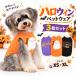 ���� �n���E�B�� 3�_�Z�b�g ���ڂ��� �p���v�L�� �����^�� �R�X�`���[�� ���� ���^�� ���^�� �L�� ���� �h�b�O�E�F�A �y�b�g�E�F�A �p�[�e�B�[ �ʐ^�B�e