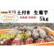  ограниченное количество земля имеется сырой . клубень [ сырой kikimo]5kg Hokkaido производство ( звук другой блок )| нет пестициды культивирование |. клубень kikimo| собака Lynn большой .. время ограничено 10%OFF