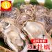  Hiroshima префектура or Okayama префектура производство крупный 2L размер ..... примерно 1kg 1000g правильный тест NET850g нагревание для шелушение .. шелушение ..... кастрюля устрица устрица fly кастрюля 