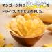 ���A�E�g���b�g�������h���C�}���S�[ ���b�`�J�b�g �J���{�W�A�Y 2�܃Z�b�g �h���C�t���[�c �}���S�[ �ۑ��H ���H 180g�~2��  ���� �ܖ�����2026/10/23 �֘A�摜3