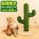 1 год гарантия коготь .. кошка кактус type модный симпатичный paul (pole) имеется лен . наматывать высота примерно 53cm лен наматывать кошка товары игрушка фигурная скобка коготь точить движение нехватка аннулирование -тактный отсутствует аннулирование бесплатная доставка 