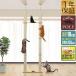 1 год гарантия кошка tree tower лен шнурок .. обивка twin миграция доска имеется полная высота 240~255cm диаметр 10cmsinia движение нехватка дерево .. кошка paul (pole) . нобори дерево .. бесплатная доставка 