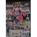 AKB48ne. tv season 1 1st * used DVD( rental )