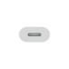 Apple �A�b�v�� ���� USB-C ���C�g�j���O�A�_�v�^ �ϊ��A�_�v�^ ���[�J�[�ۏؕt�� �֘A�摜2
