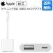 Apple Apple оригинальный подсветка USB 3 камера адаптер цифровая камера. фотография . iPhone . брать . включая гарантия производителя имеется MX5J3AM/A