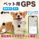 GPS бирка для домашних животных iPhone.. предотвращение звук .... слежение ошейник легкий собака кошка маленький размер месяц сумма не необходимо домашнее животное 