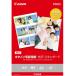 CANON( Canon ) SD-201A3N20 фотобумага * глянец стандартный A3nobi20 листов 