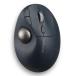 Kensington( kensington ) K72196JP черный Pro Fit Ergo TB550 шаровой манипулятор 