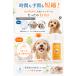 �� �L ���� �V�����v�[ mofuwa 600ml �l�֗p 3�Z�b�g�y�b�g ������ �����C �o�X�^�u ��e�� ���t�� �֘A�摜4