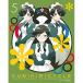 DVD/OVA/kbiki утилизация синий цвет sa Van .....5 ( совершенно производство ограниченая версия )