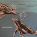 [ посылать за товар ]CD/Katie Porter/Lucio Capece/Phase to Phase