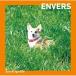 CD/Junichi Igarashi/ENVERS
