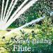[ посылать за товар ]CD/ Takeda мир большой /Nature Healing Flute Cafe . тихий краб слушать флейта . природа звук 