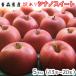  Aomori яблоко бесплатная доставка есть перевод si nano сладкий 5 kilo 13~20 шар доставка 11 месяц 1 день примерно из 