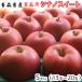  Aomori яблоко бесплатная доставка для бытового использования si nano сладкий 5 kilo 13~20 шар доставка 11 месяц 1 день примерно из 