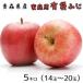  Aomori apple * free shipping * home use have sack ..5 kilo 14~20 sphere 