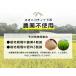 ������ 900g (��6��) �V�� �ߘa8�N �J�O�����` �O�d���Y ���� 1kg�ȉ� ���[���� �|�C���g���� ������ �ݕ� ���` �� ���_�� �_�ƒ��� �Ԕ� �������� �֘A�摜5