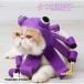  домашнее животное шляпа Halloween костюмы аксессуары кошка шляпа преображение надеты Halloween товары 