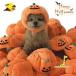  домашнее животное шляпа собака кошка для костюмированная игра Halloween тыква украшение домашнее животное одежда костюмированная игра менять оборудование симпатичный модный легкий party память день костюмированная игра фотография фотосъемка 