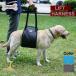  собака уход подъёмник Harness приспособление для ходьбы ходьба поддержка ремень . собака уход sinia. собака 