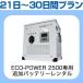 [ в аренду ] ECO-POWER 2500 специальный * дополнение аккумулятор 21 день ~30 дней в аренду план 