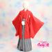  Junior ансамбль hakama комплект / мужчина /Kato/13-449KT/83-745BN/ 10 лет. праздник ./ 10 три три ./ начальная школа церемония окончания / в аренду / бренд / перо тканый / красный / hakama / натуральный шелк / синий .