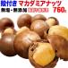  орехи macadamia орехи . имеется 760g(380g×2 пакет ) отметка использование распродажа мака te mia орехи почтовая доставка ограничение бесплатная доставка 