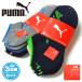 �j�� �W���j�A PUMA �v�[�} 3���g �V���[�g�� �\�b�N�X ����N�b�V���� �p�C���҂� �ȍ� ���S �z�F �C�� �q�� �j�̎q 21-23cm 23-25cm k-0255���[����OK