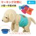  manner belt 4 size dog male gap not diapers marking prevention ... man small size dog medium sized dog upbringing .... manner band manner pants dog wear MILASIC