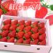 .... клубника ( примерно 700g) Ehime Tokushima производство ...... ho pe....... для подарок несессер клубника . клубника фрукты клубника подарок ... предмет ...